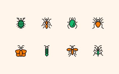 Pest Control Line Icons